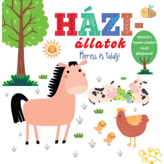 Háziállatok - keress és találj!
